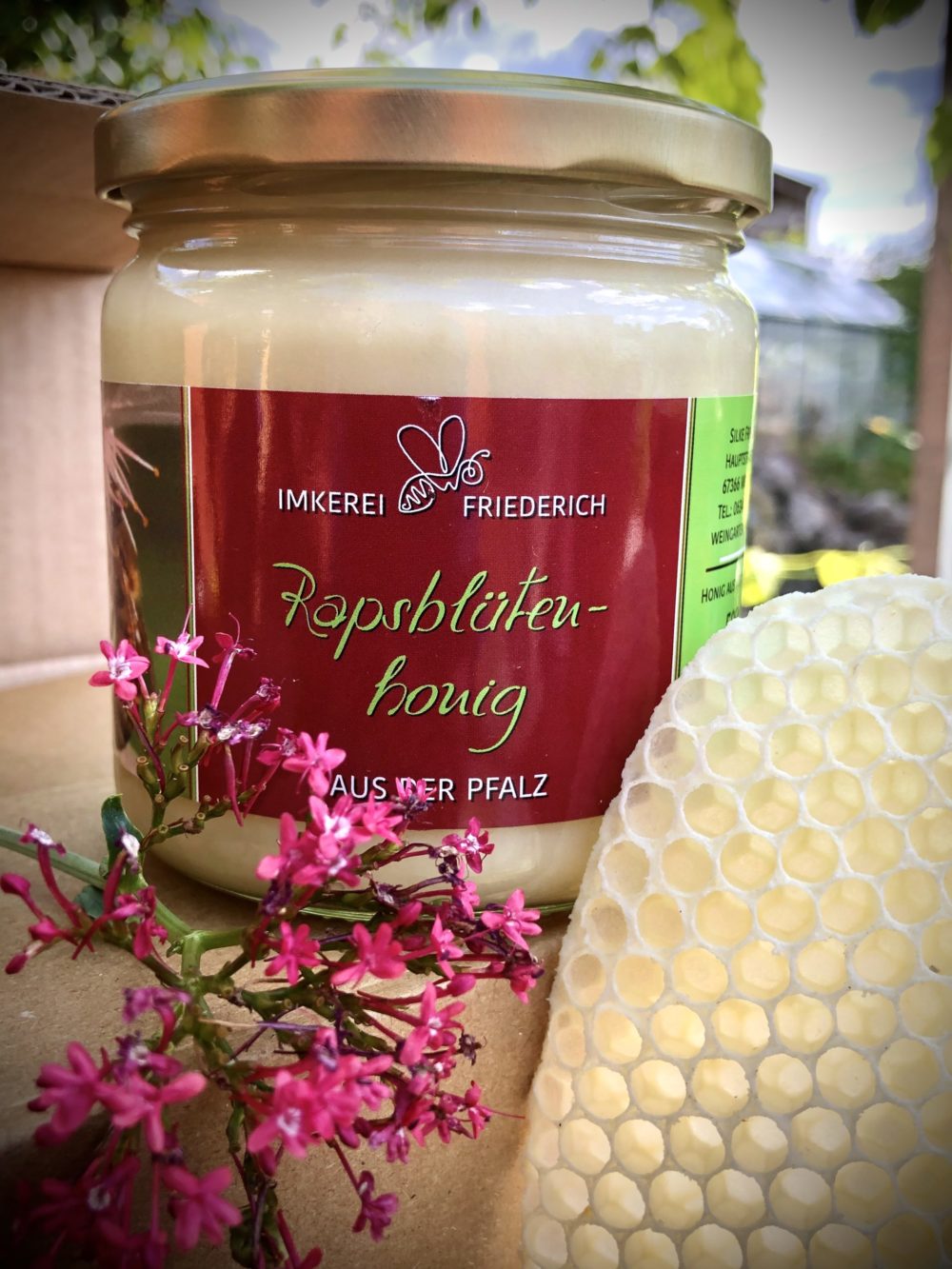 Rapsblütenhonig – Bild 5